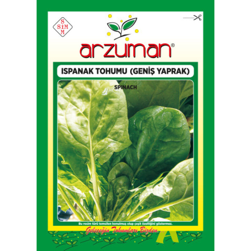 Ispanak Tohumu Geniş Yaprak / Matador 25 Gr Arzuman