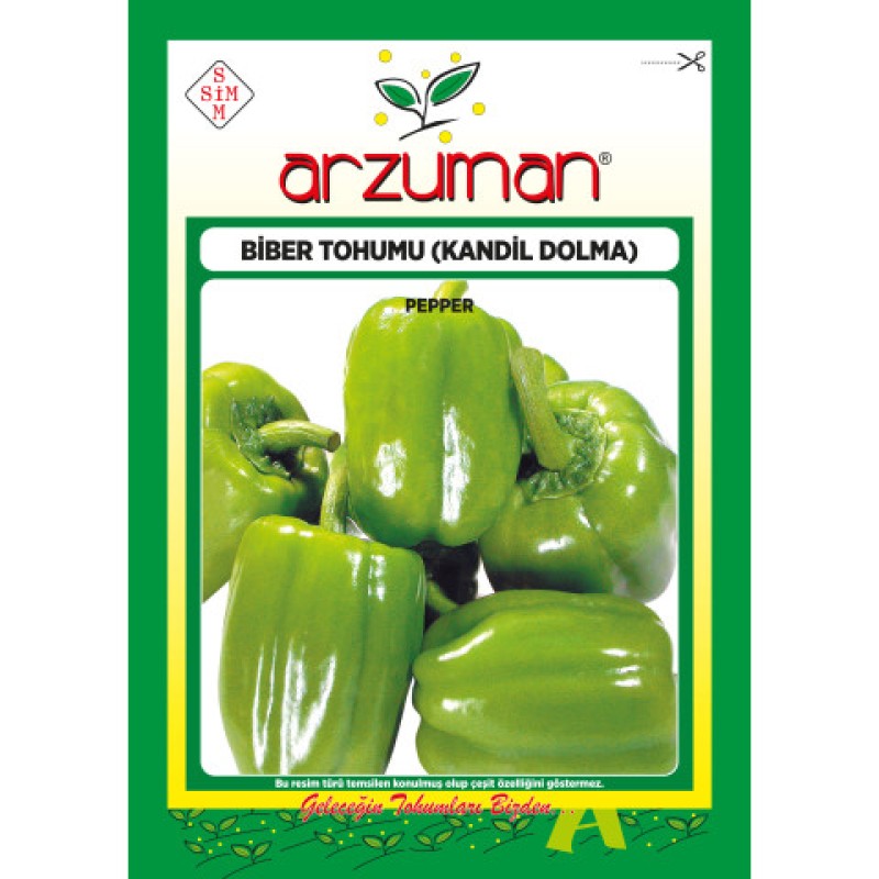 BİBER TOHUMU (KANDİL DOLMA) 10 GR Arzuman