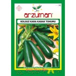 Siyah / Kara Kabak Tohumu 10 GR Arzuman