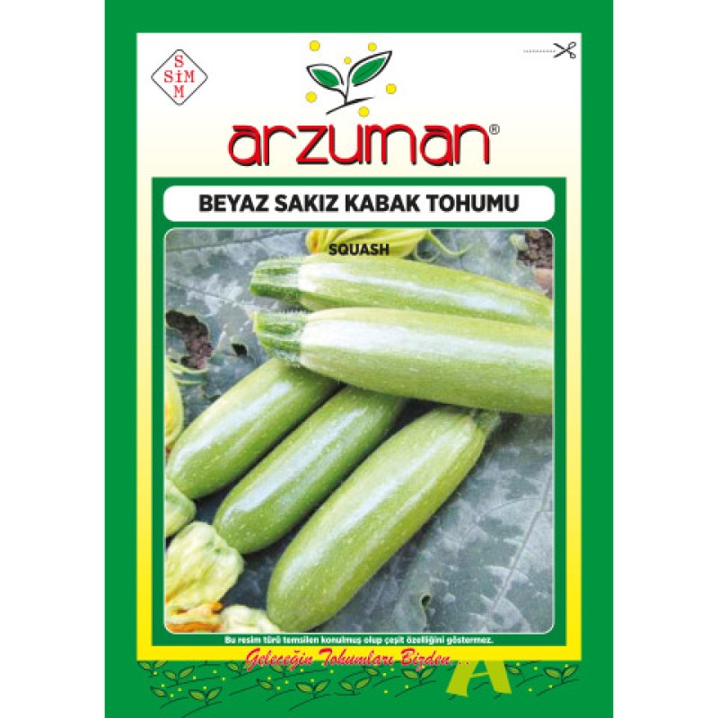 Beyaz Sakız Kabak Tohumu 10 GR Arzuman