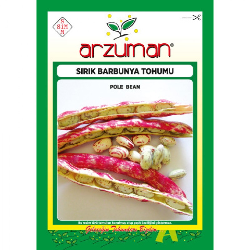 Sırık Barbunya Tohumu 50 GR Arzuman