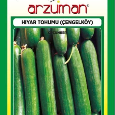 Çengelköy Salatalık Tohumu 5 GR Arzuman