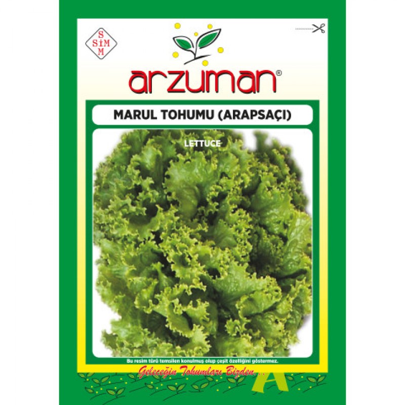 Arapsaçı Kıvırcık Marul Tohumu 10 GR Arzuman