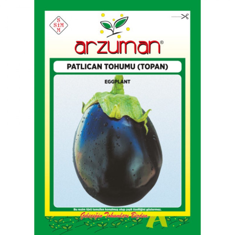 Topan ( Topak ) Patlıcan Tohumu 10 GR Arzuman