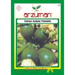 Topak Kabak Tohumu 10 GR Arzuman